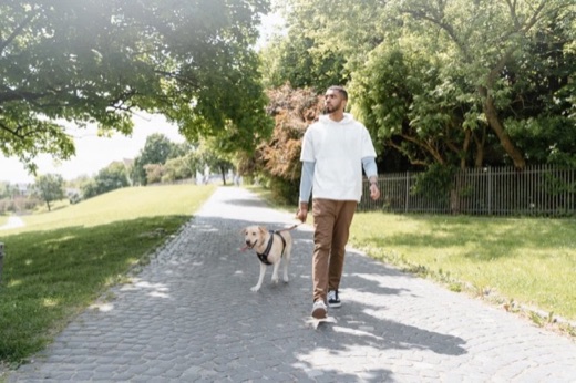 Man walking his dog on a sunlit park path